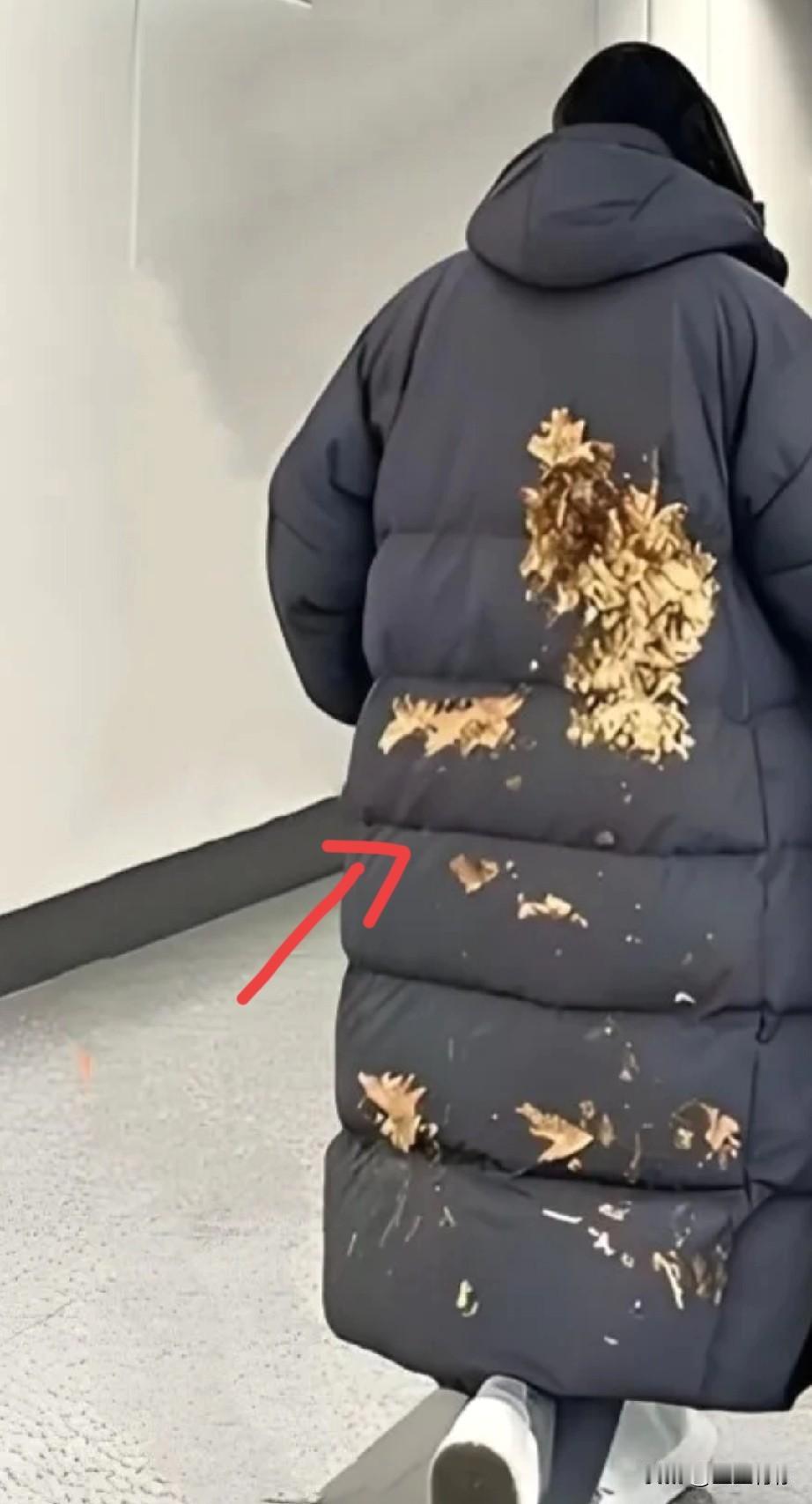 活了大半辈子了，
没见过这么埋汰的人儿！
一后背的泥汤子都发霉了还敢穿出门！
 