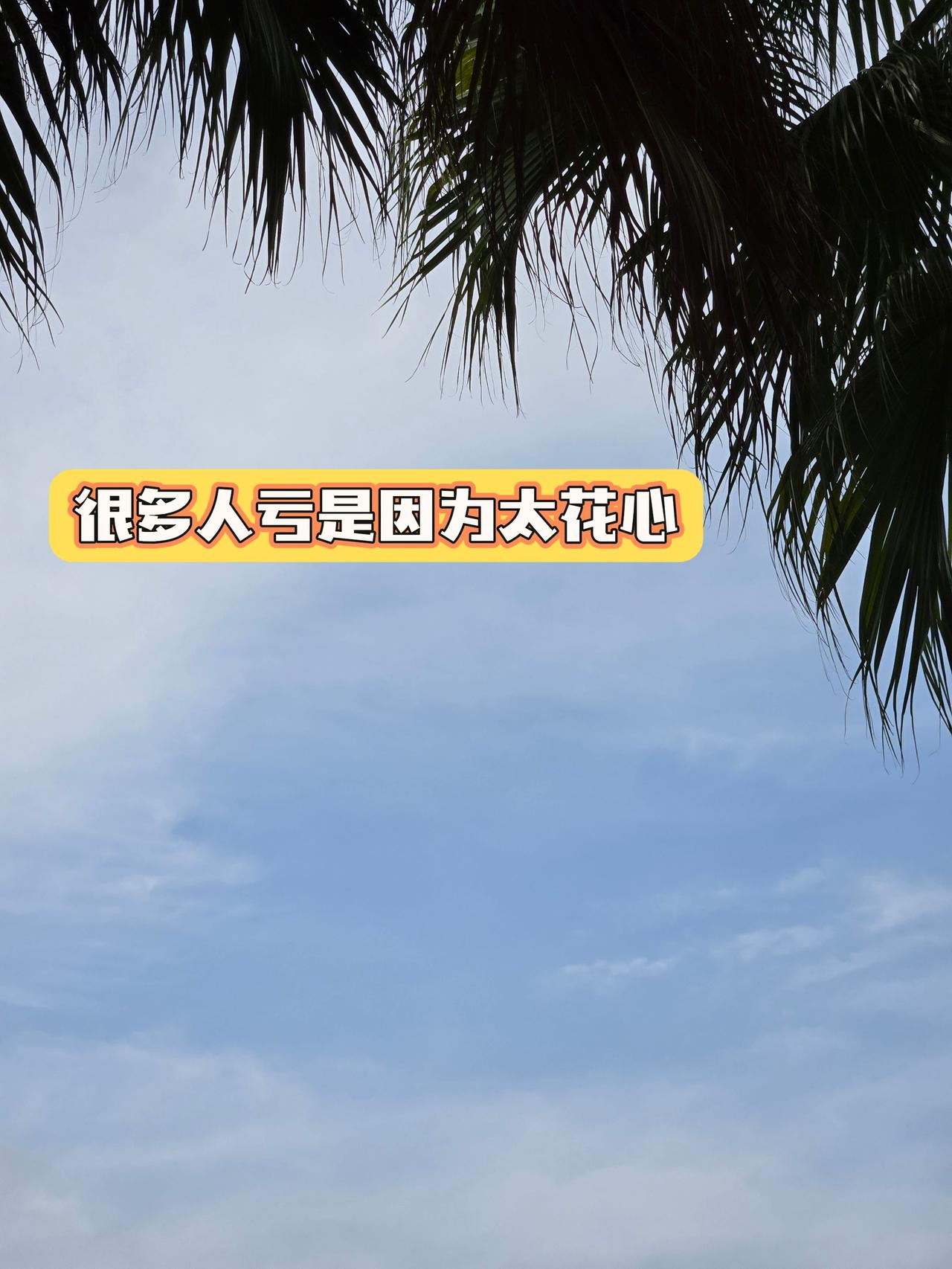 游资大佬