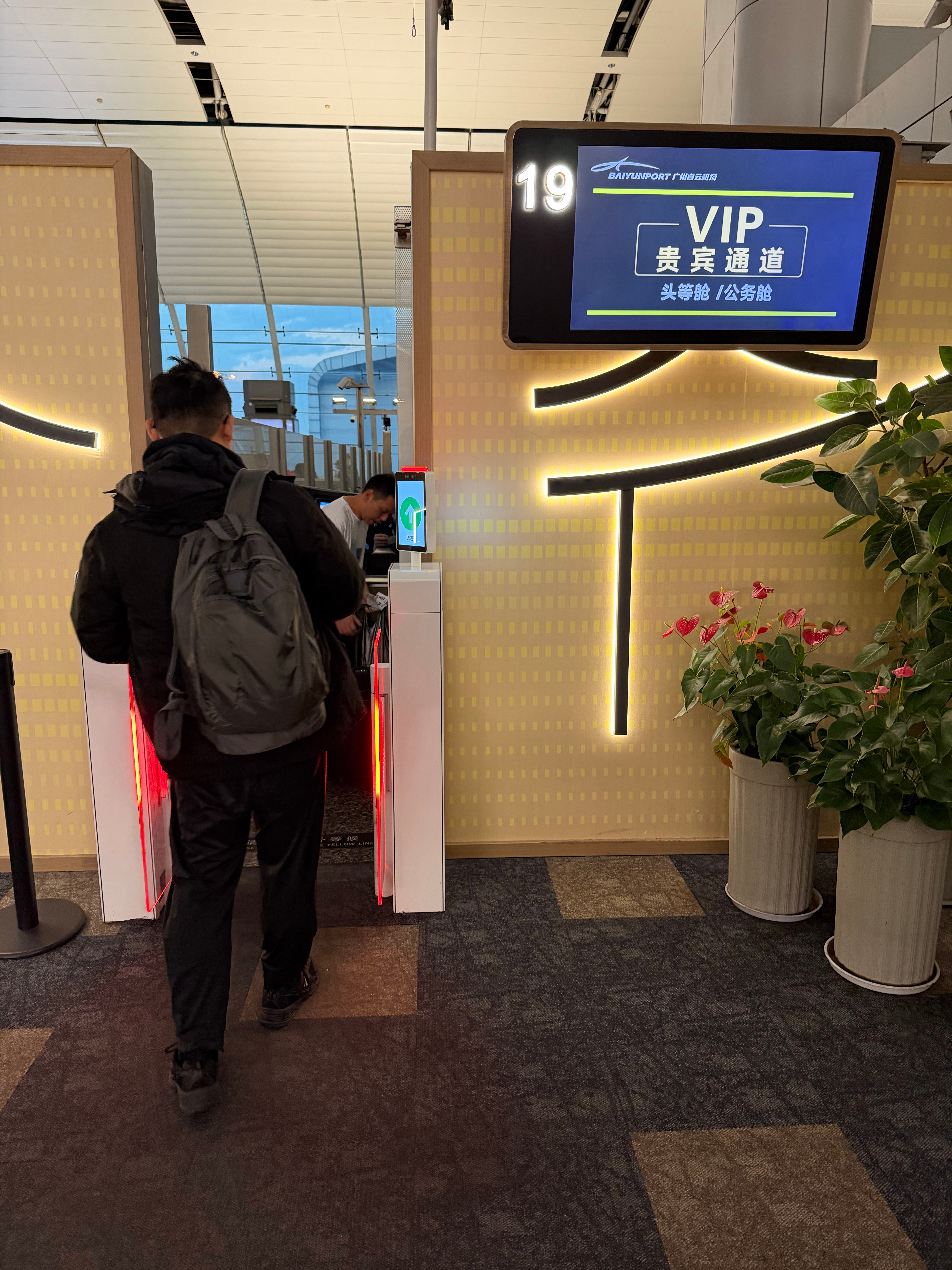 早，下一站上海 再见， 再见，白切鸡和豉油鸡 