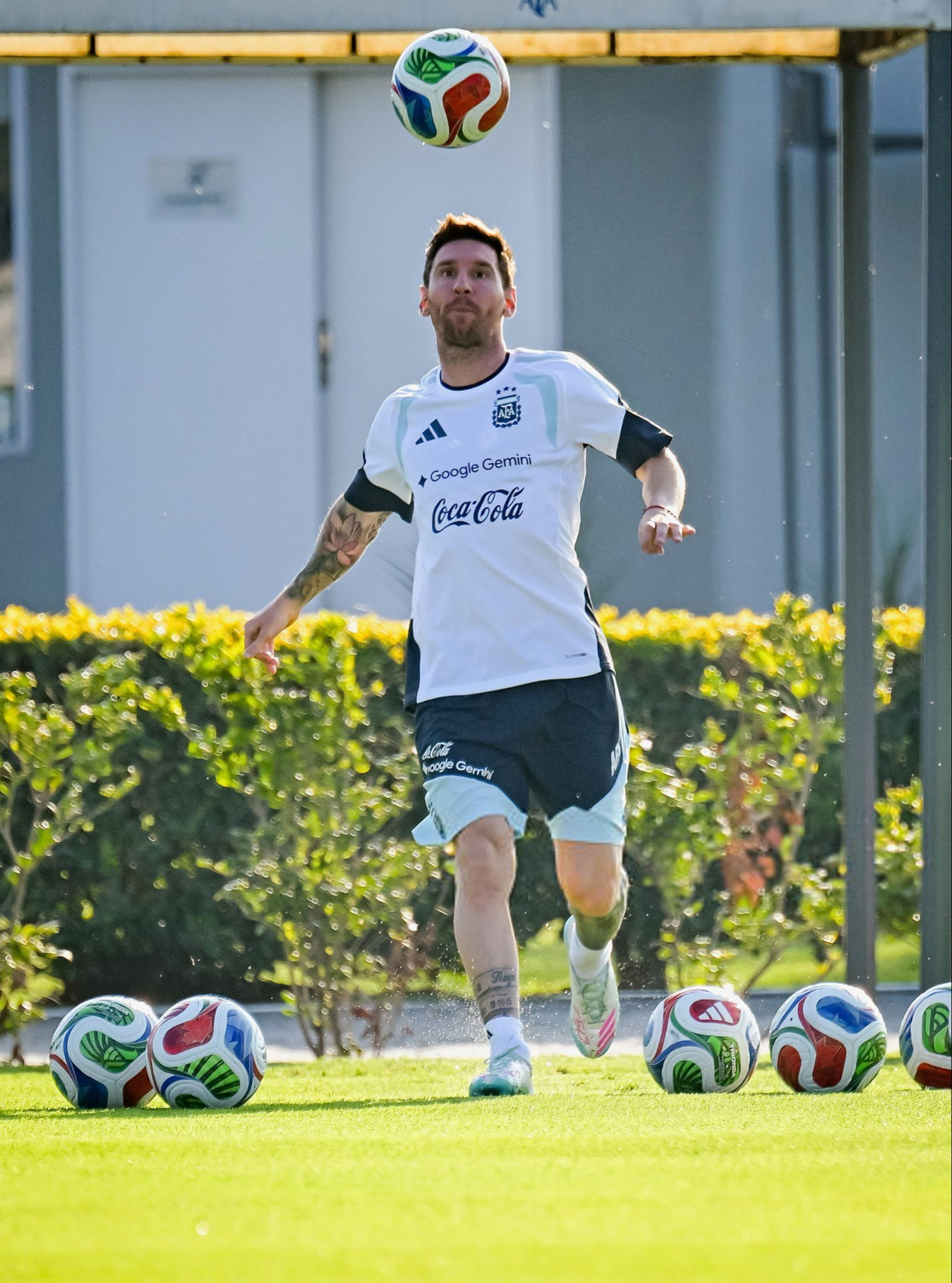 【今日训练】🔥备战明日友谊赛阿根廷vs赞比亚 ！梅西阿根廷球迷俱乐部