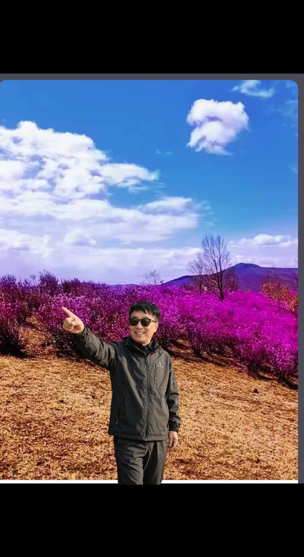 上热门发作品 拍到了春日限定花海照片 自然赋予的创作灵感 手机里的春天 花海与雪