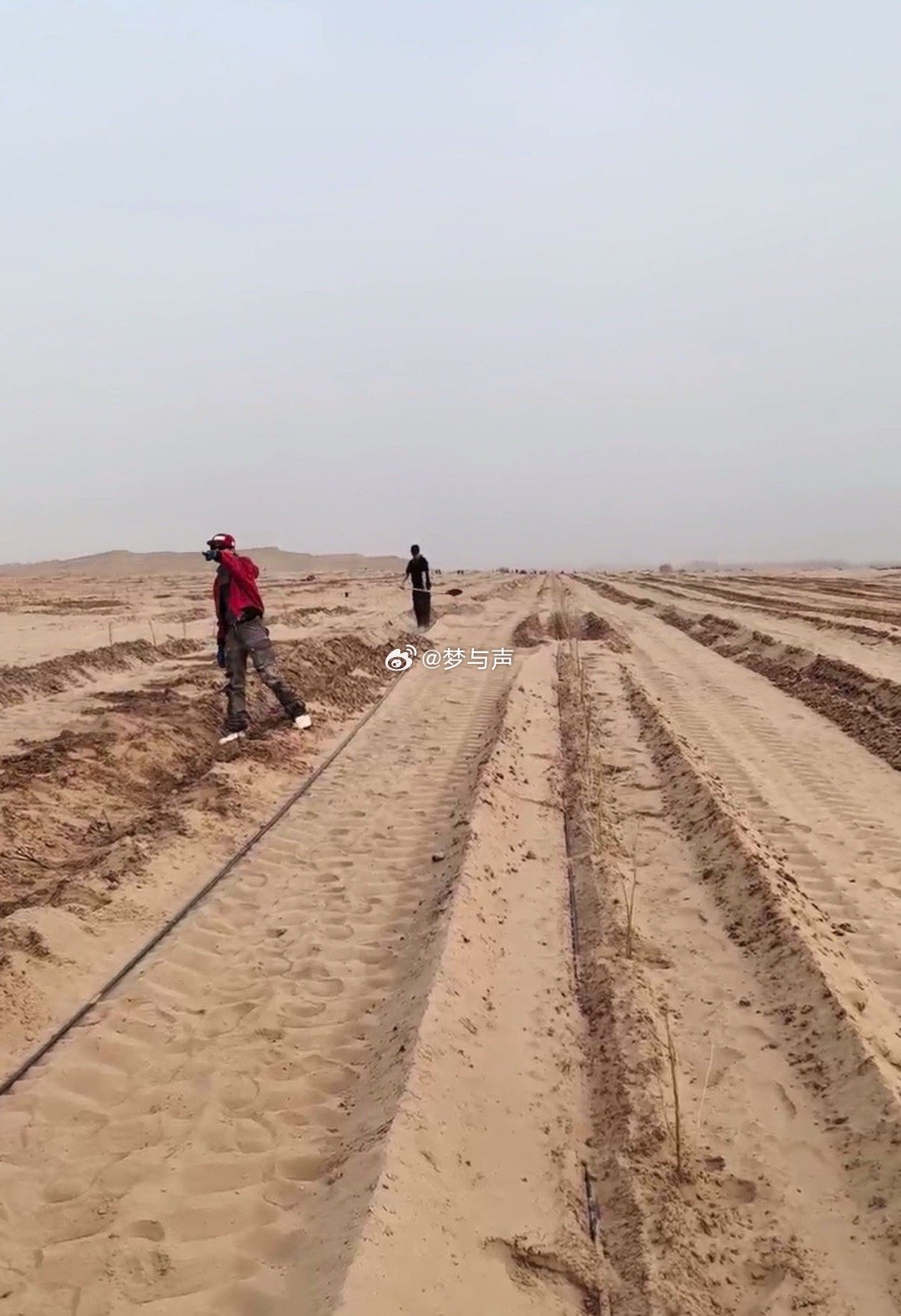 十个勤天要在沙漠种玫瑰 直播点进去就看到他们在沙漠里挖坑，还以为搞什么大工程。结