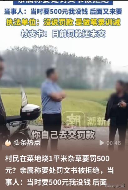 “离大谱！”河南固始，女子因患恶性肿瘤，在家养病，为了节省开支，便种了菜自给自足