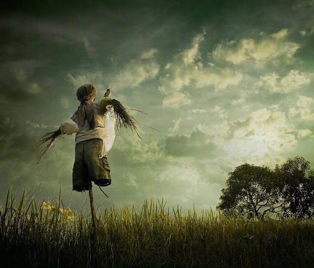 世界丰富，就该有痛不欲生的，就该有平静喜悦的，更有无数平静喜悦夹杂着痛不欲生的，