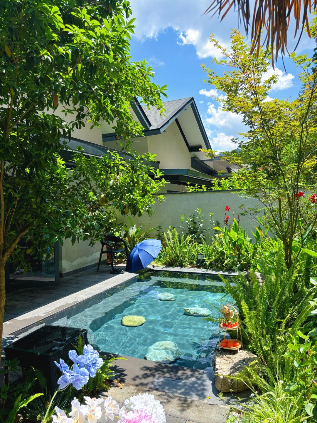 大家都在夸👍我家的夏天绝了