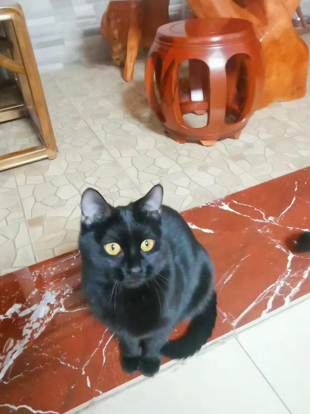 [捂脸][捂脸][捂脸]出去一个半月，又回家了。我的二宝天天念叨到哭鼻子。