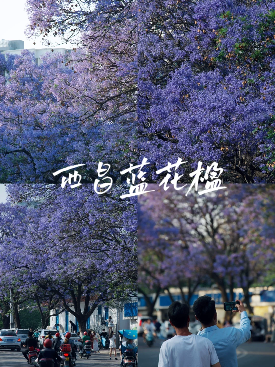 五一限定蓝色诱惑‼️西昌必来浪漫打卡地🤩