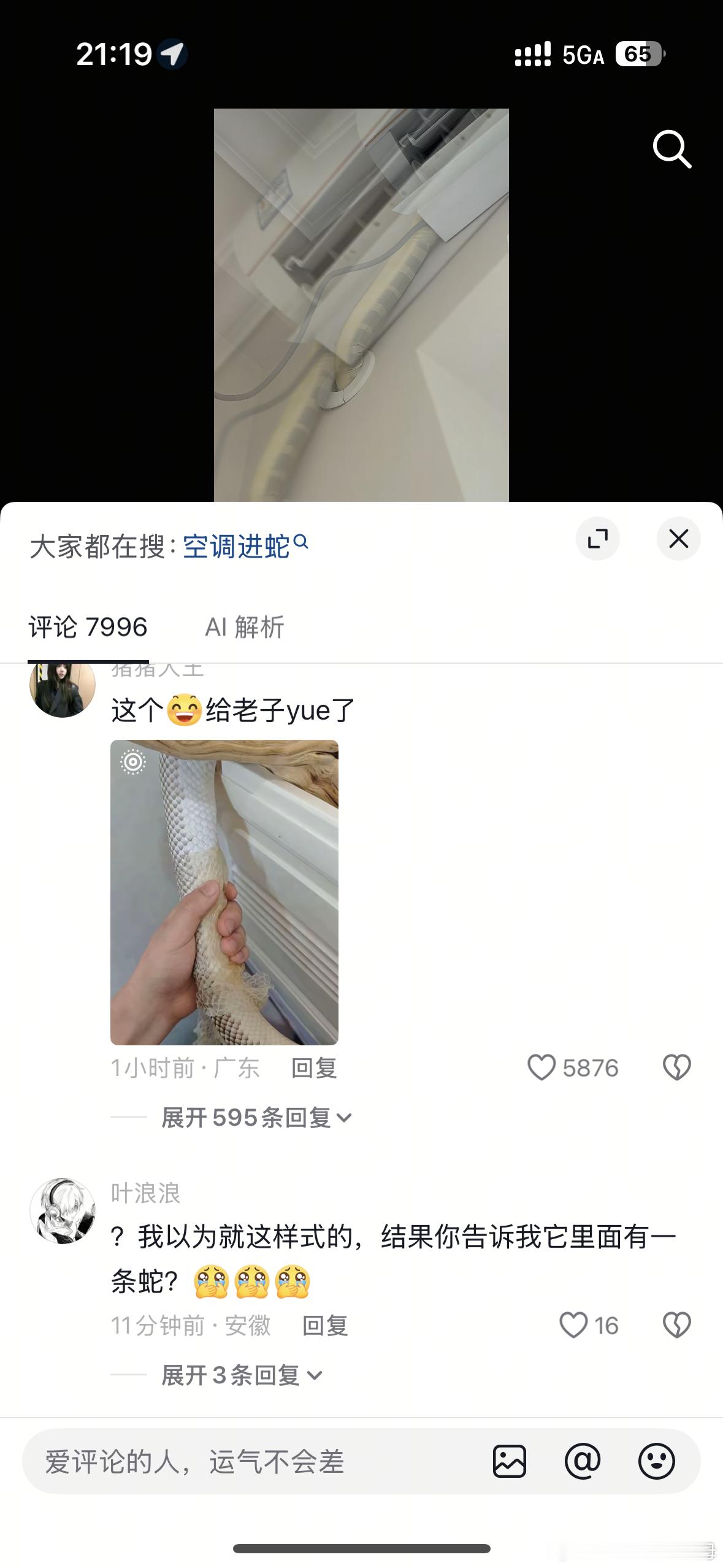 全世界第一怕蛇的人，我刚刚手滑点到这个动图 差点把手机甩飞 其实里面没有蛇 但是