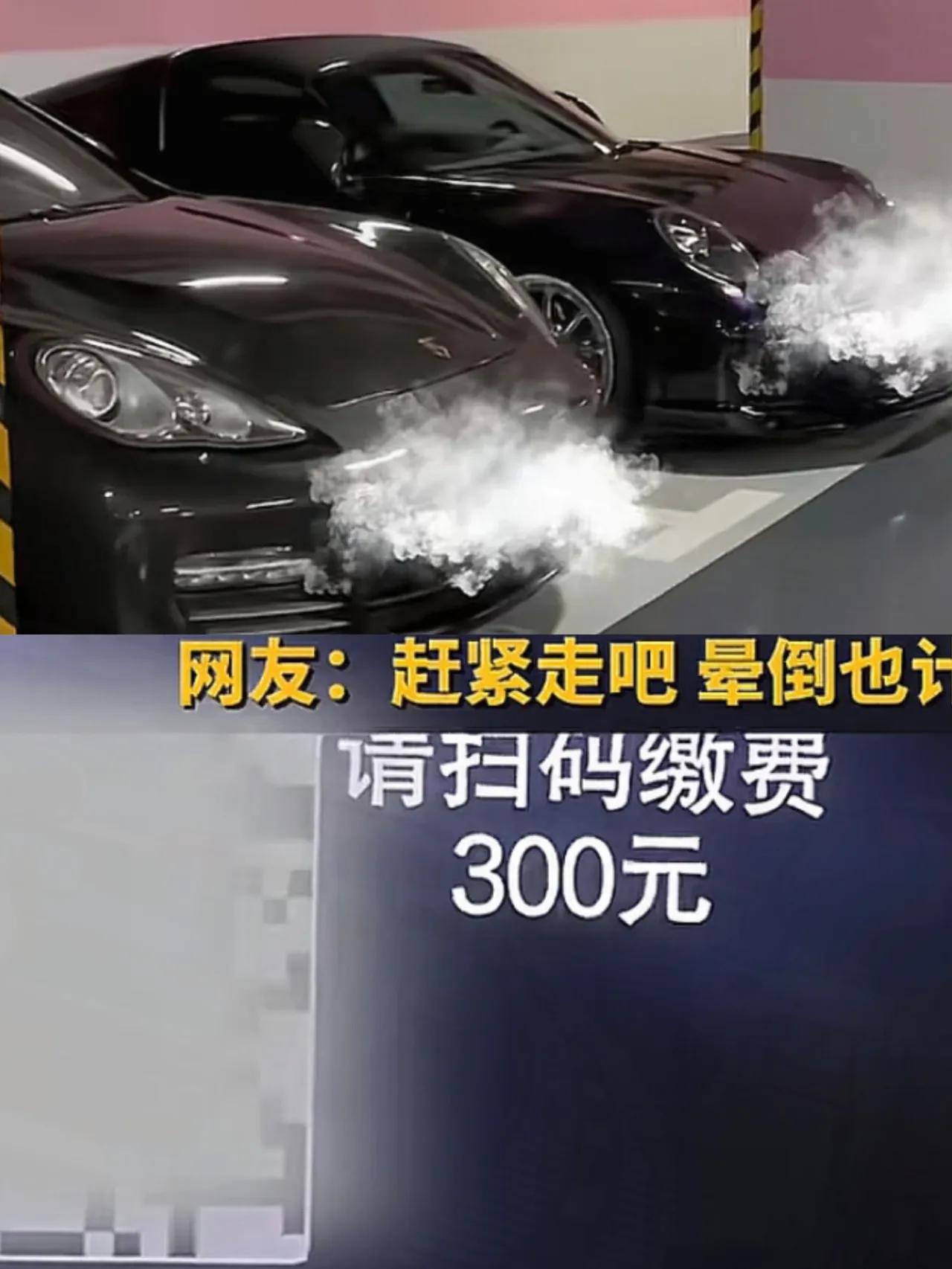 这下彻底出名了
不仅上海，全国人民都知道了！
一女子在上海半岛酒店对面餐厅用餐，
