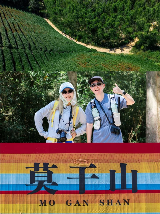 莫干山5km | 夏日茶园🍃轻松徒步路线推荐