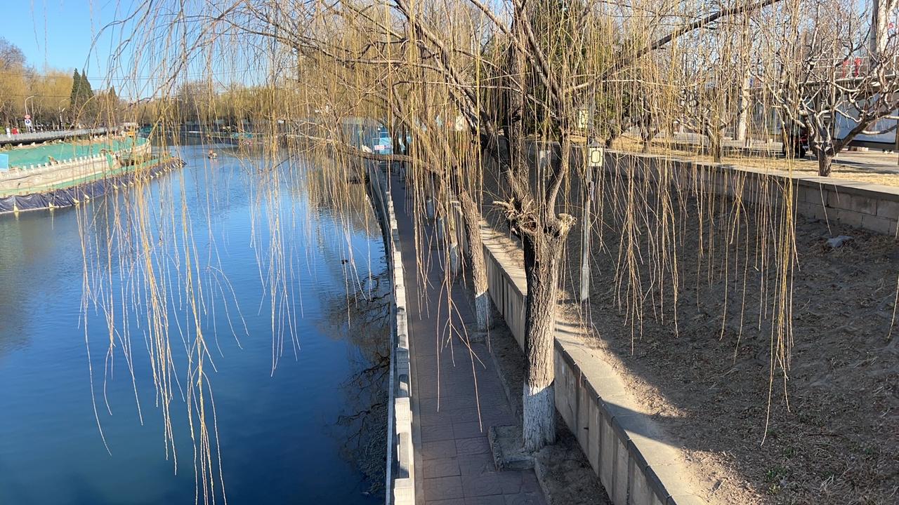 控告重婚罪，需要收集嫌疑人哪些犯罪证据?

控告重婚罪，证据收集的关键在于证明"