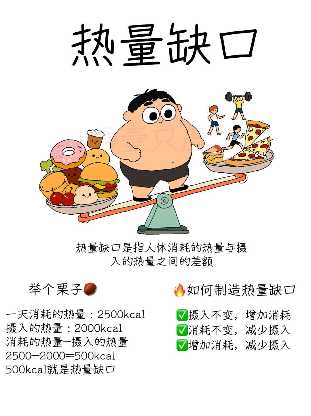 拆解FANCL金装片