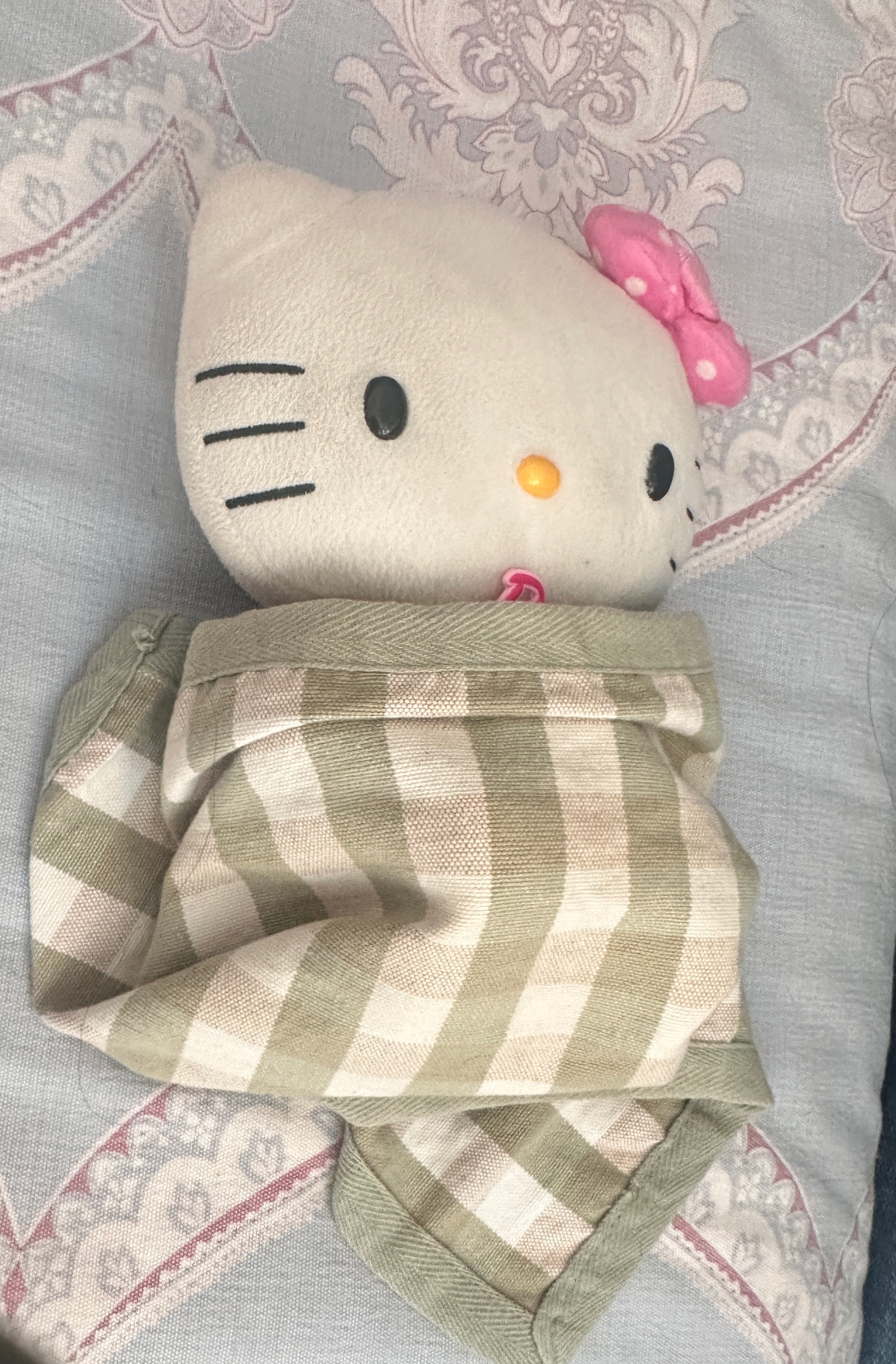 润润的阿贝贝是一只粉色的hello Kitty 我刚发现他晚上还给他的阿贝贝盖被