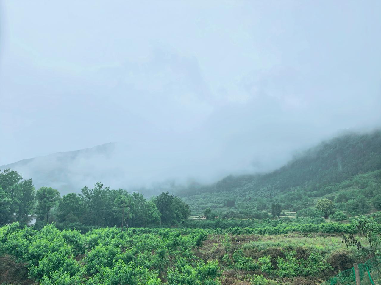 山在雾里写诗，我在人间偷闲，原来汉中褒城边的连城山能把夏天染成薄荷绿。
