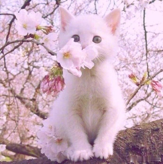 秒转，好运马上来到你身边 