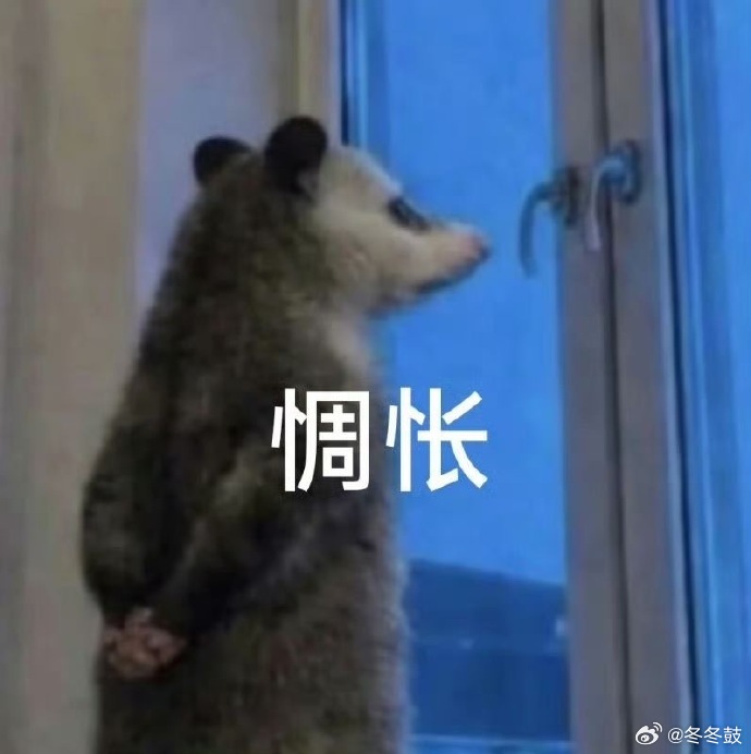 不再依赖上班搭子算长大吗慢慢习惯一个人上下班处理琐事，不再事事依附他人，依旧期待