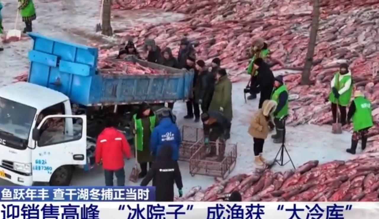 查干湖的“冰院子”里，红彤彤的渔获铺满雪地，成了北国冬日最亮眼的底色。冬捕的丰收