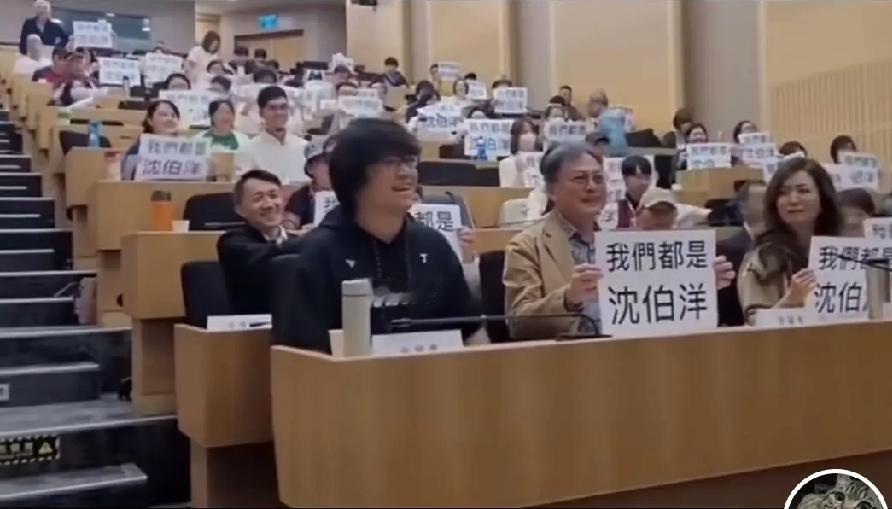 看到"我们都是沈泊洋"的集会画面，我突然意识到：台独分子正在把政治闹剧变成一场博