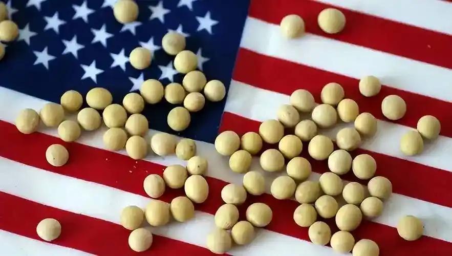 10月29日，中粮买了美国大豆，18万吨，很多人都留意到了，有点奇怪，之前几个月