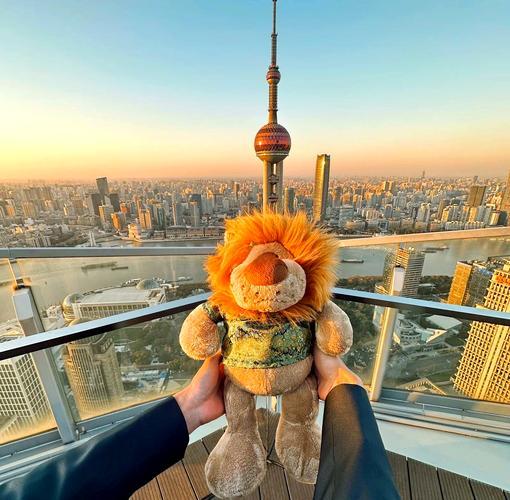 新年到啦，正是开启爱好打卡的好时候！我打算在新年里打卡摄影爱好。过去一年，我拍照