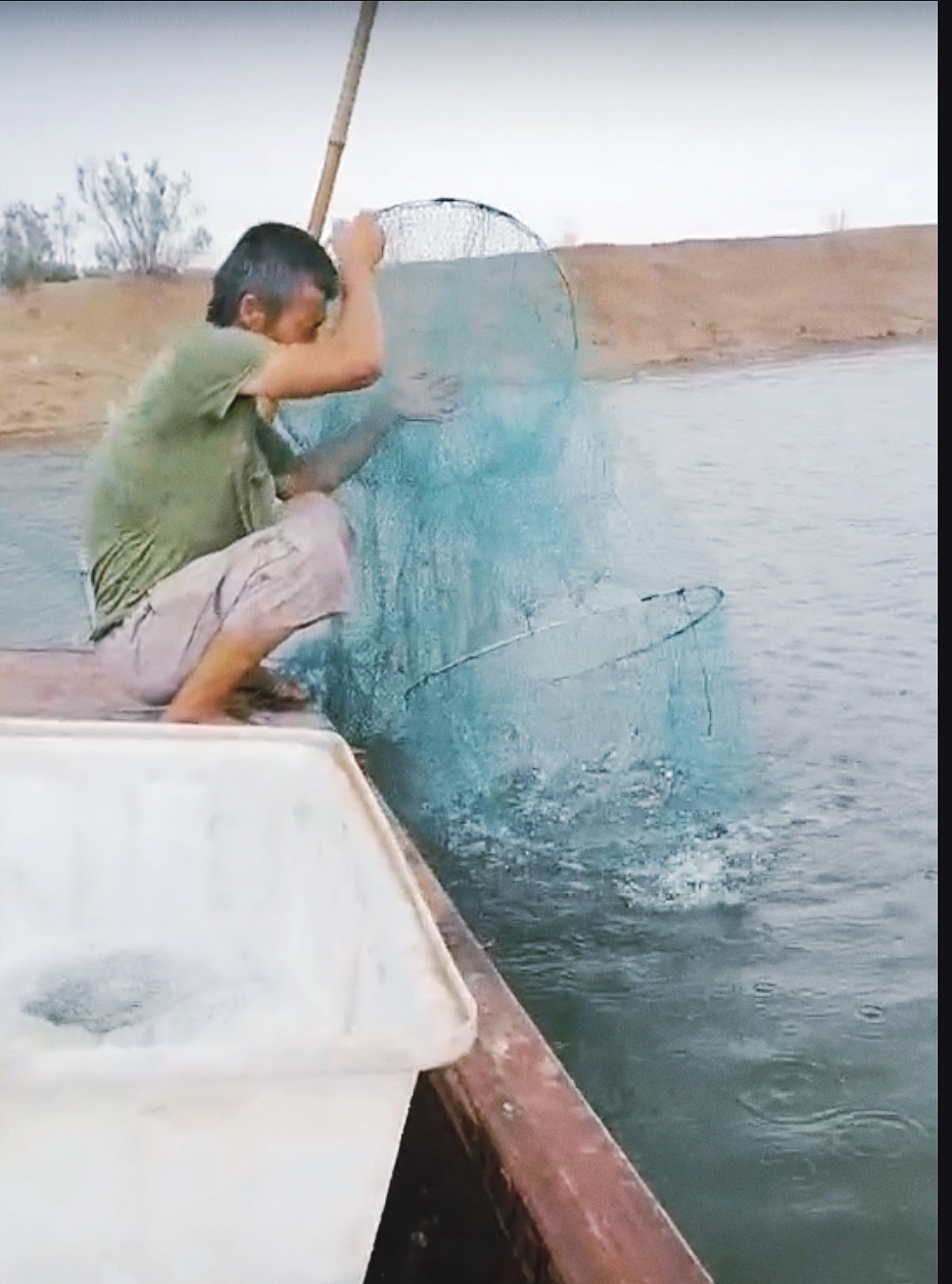 秦岭笑谈 【推广技术成果 惠及民生福祉】1 月 21 日，队员向试点塘撒播 “水