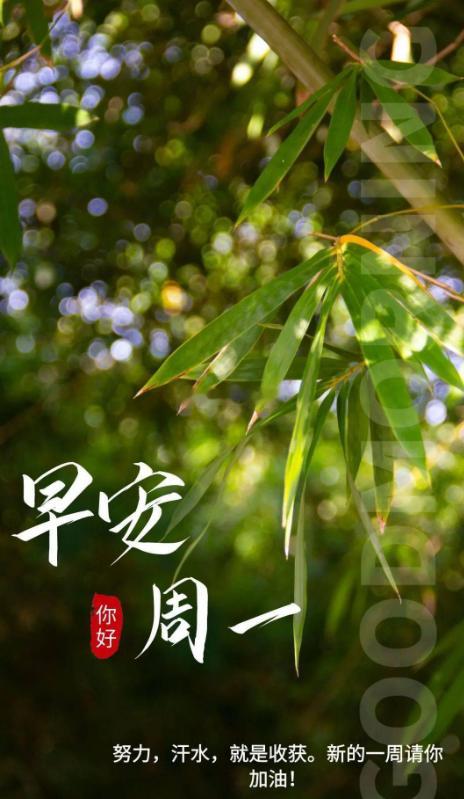 早安 今日既是新的一周开始，也是新的一月开始，大家早上好！ 
