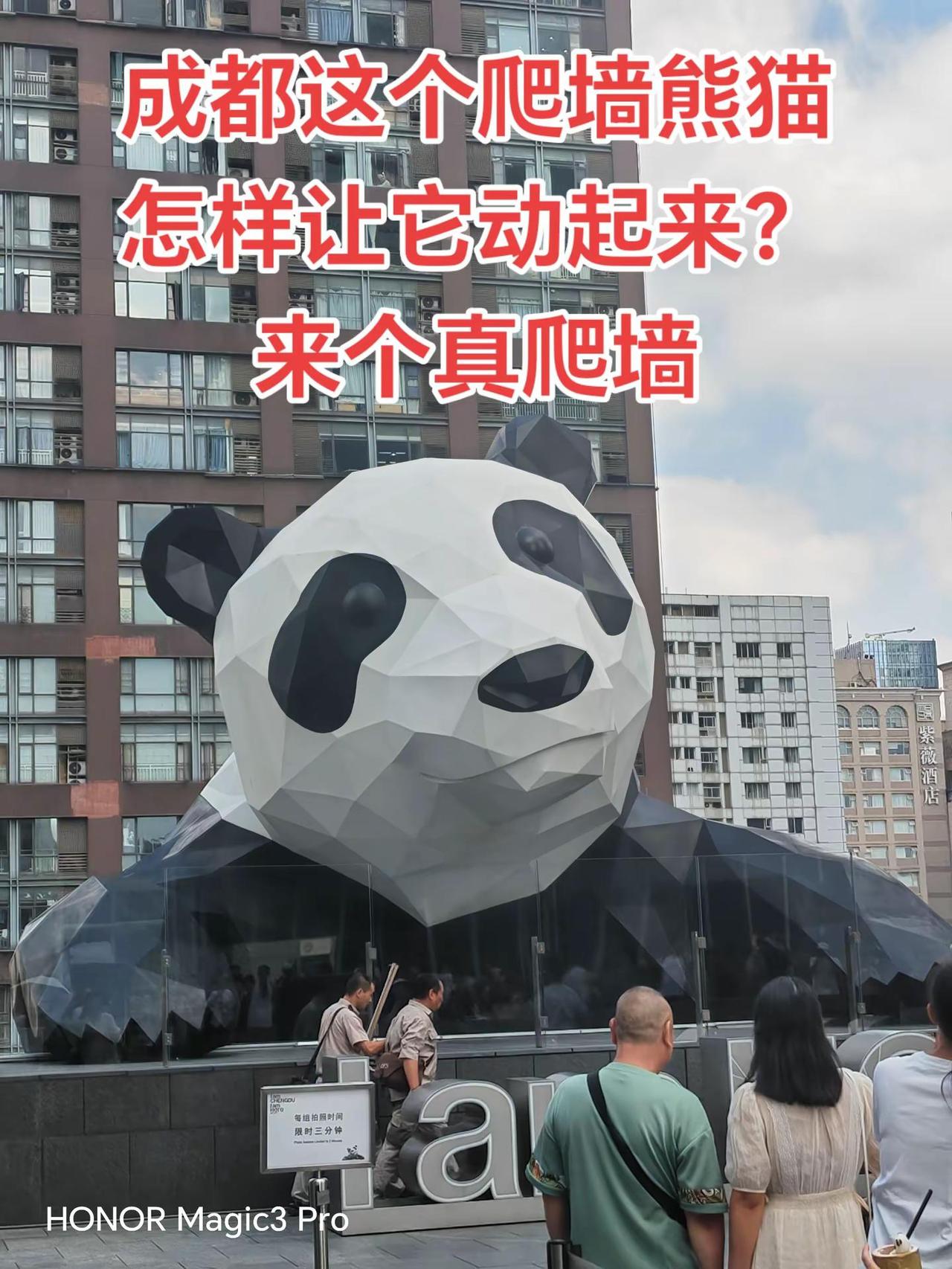 成都这个爬墙熊猫怎样让它动起来？来个真爬。成都这个爬墙熊猫怎样让它动起来？来个真