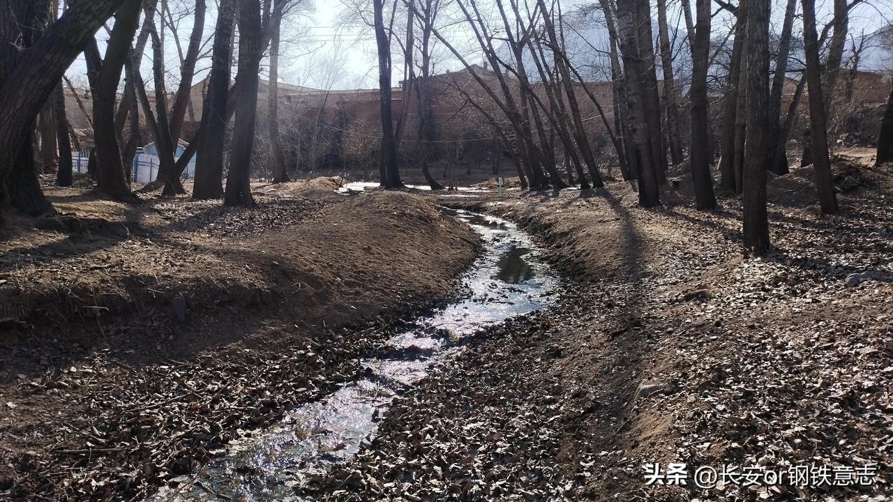 西乌素图村的清泉
🍁位于村东边的一块半封闭区域，游人罕至。这里是西乌素图村的饮