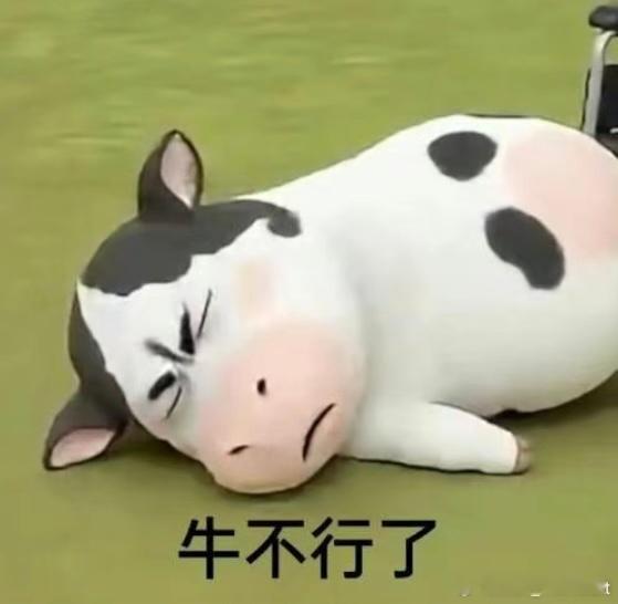 死亡一月终于结束了🔚二月好好躺