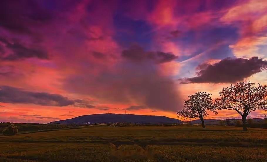 在交易中，真正的挑战不是市场的涨跌，而是人性的弱点。频繁操作往往源于情绪波动和恐