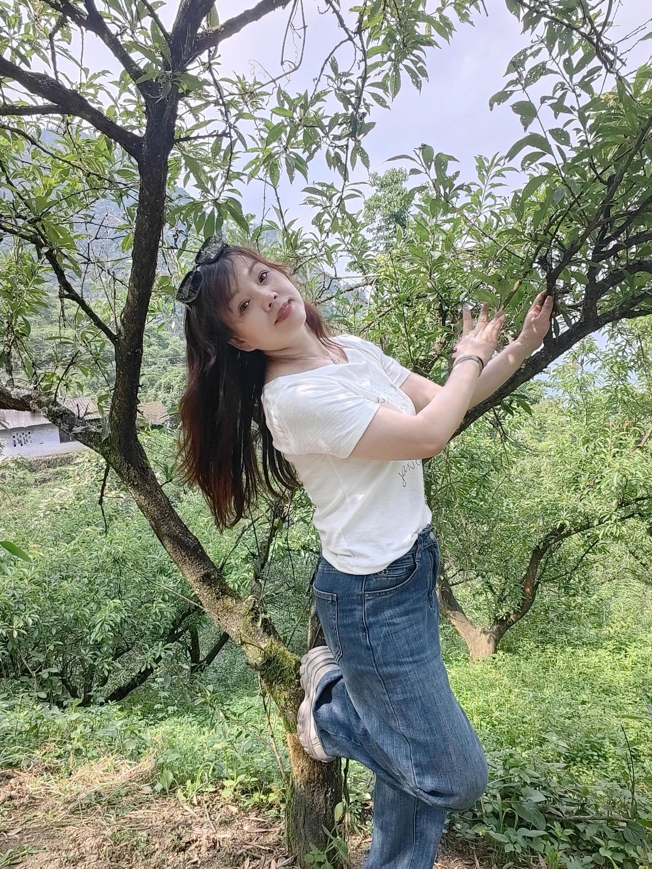 我超爱拍树，每次看到树都忍不住拿出手机记录。秋天的枫树林就是我的宝藏拍摄地。
有