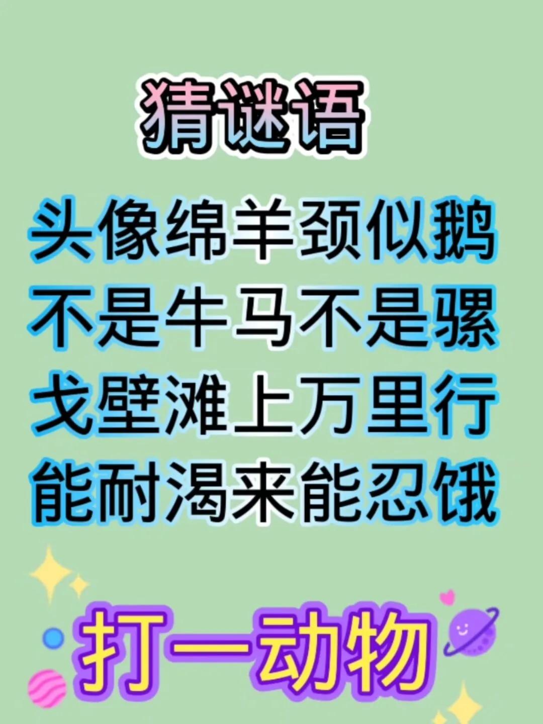 打一动物！！！！！