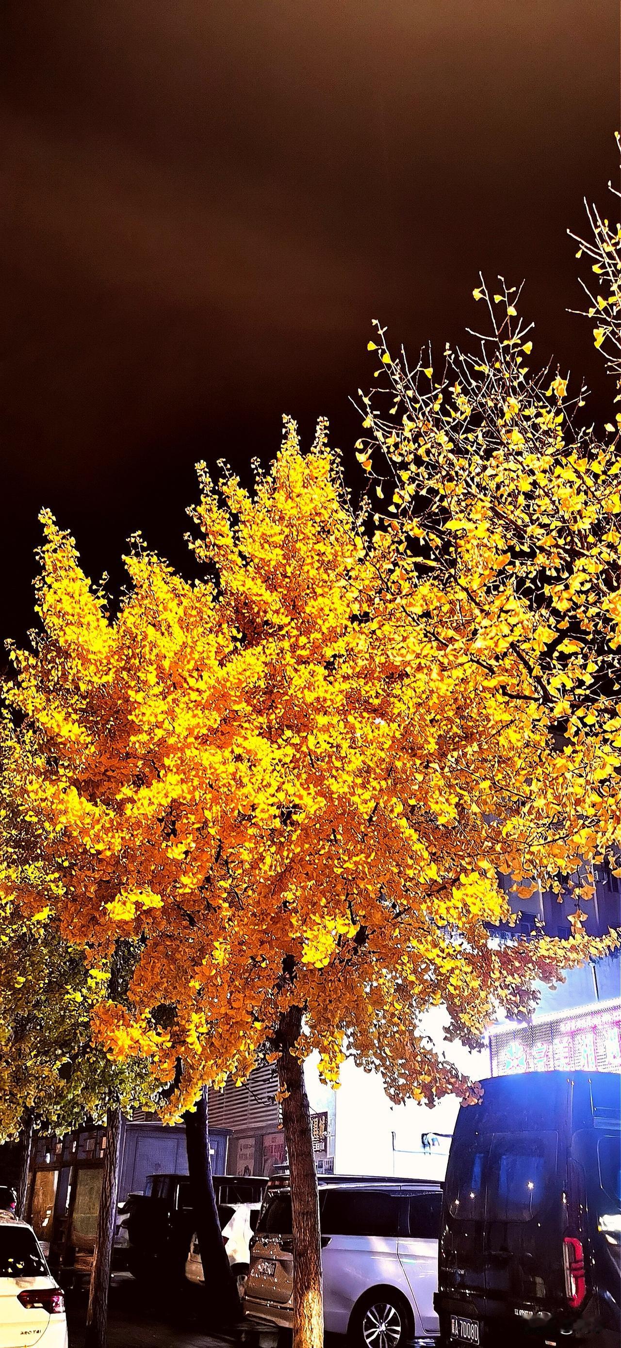 人到中年，像我这样的男人，都有哪些难处？

人到中年，很多人遇到的最大的一个门槛