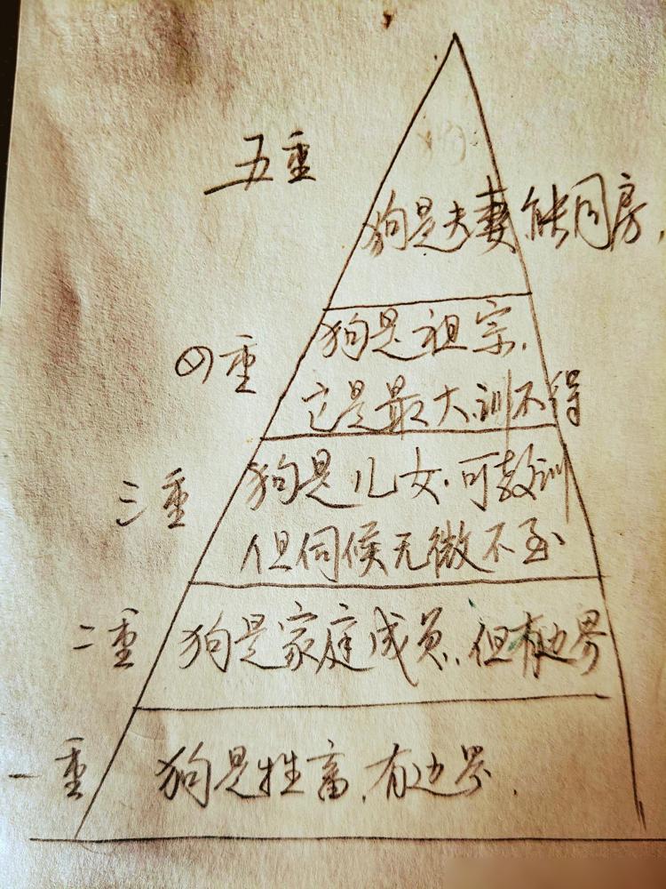 据说现在养狗有5重境界，你到了哪一重？1、第一重，狗就是牲畜，养来不过是有功能性