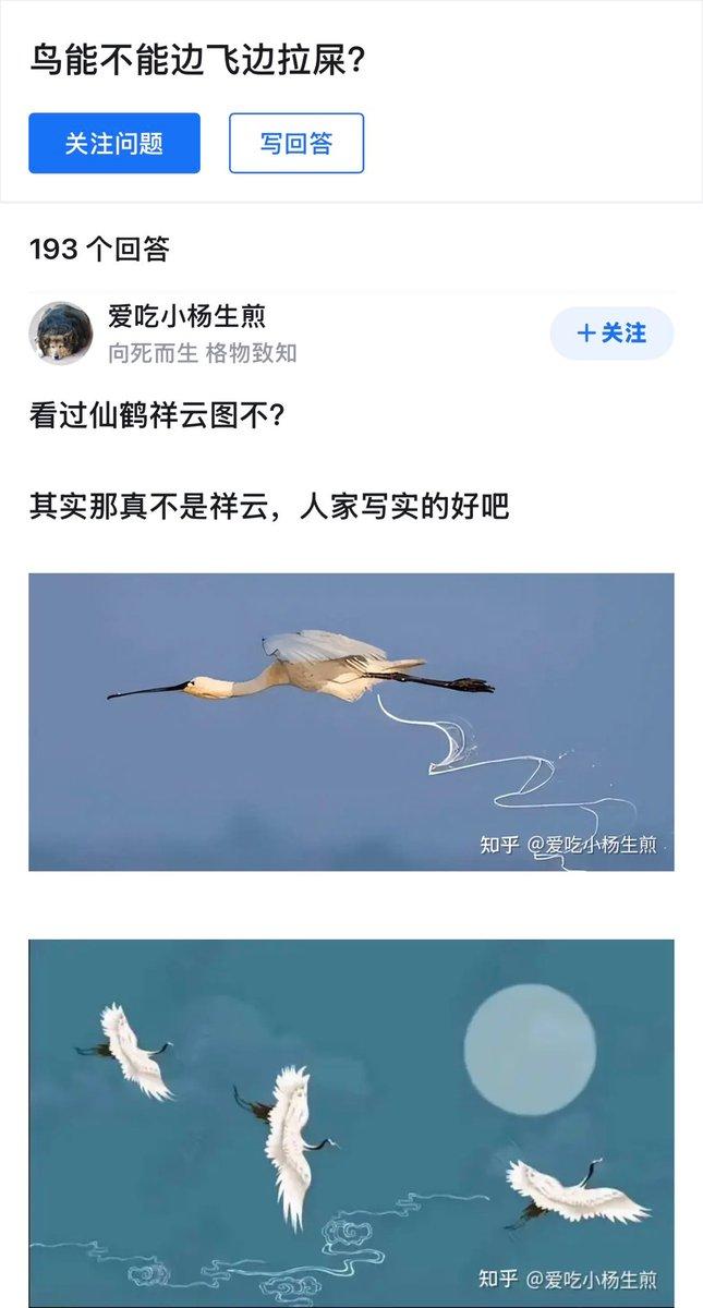 一直以为古画里仙鹤脚下缠绕的祥云，是古人浪漫的写意想象。
看完科普才发现，人家居