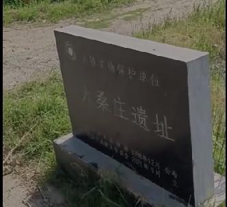 鲁西新区吕陵镇大桑庄遗址