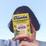 七斤玩玩娱乐