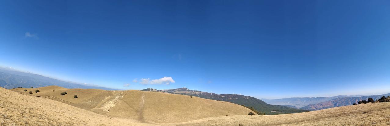 儿时仰望翻不过的山
山很空旷，我爱做梦
长大后是走不出的城
城市繁华，我很孤独