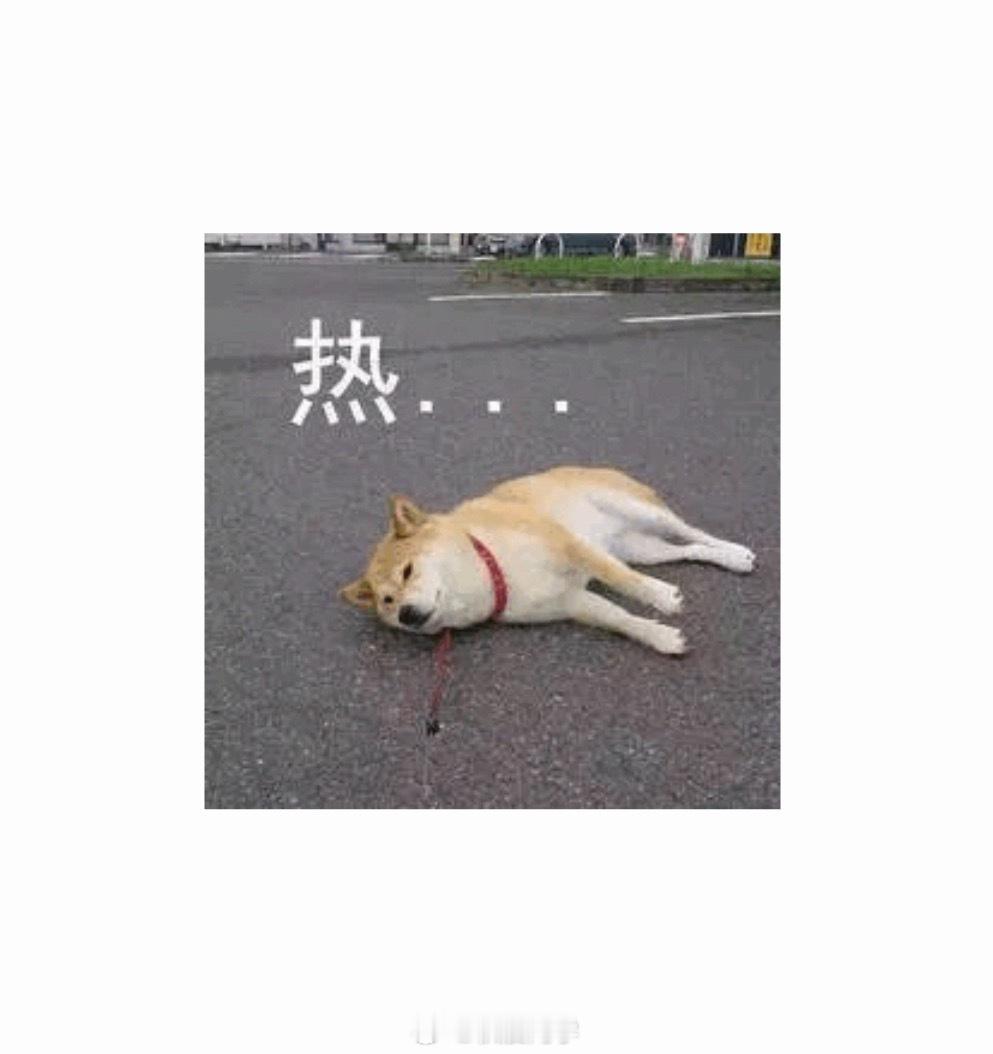 此刻的状态如图成都热瘫我了 简阳