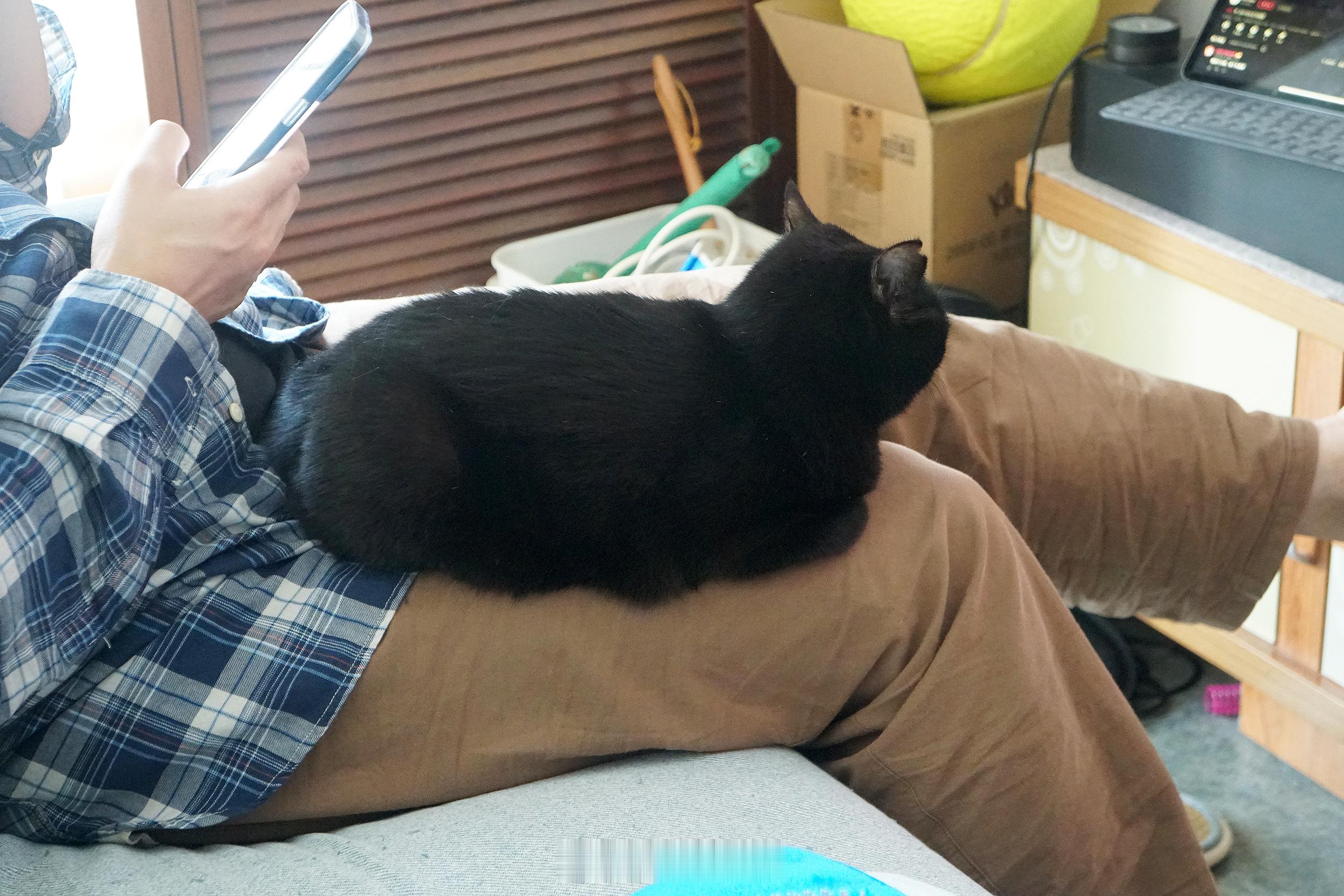 趴著趴著就睡著惹～ 