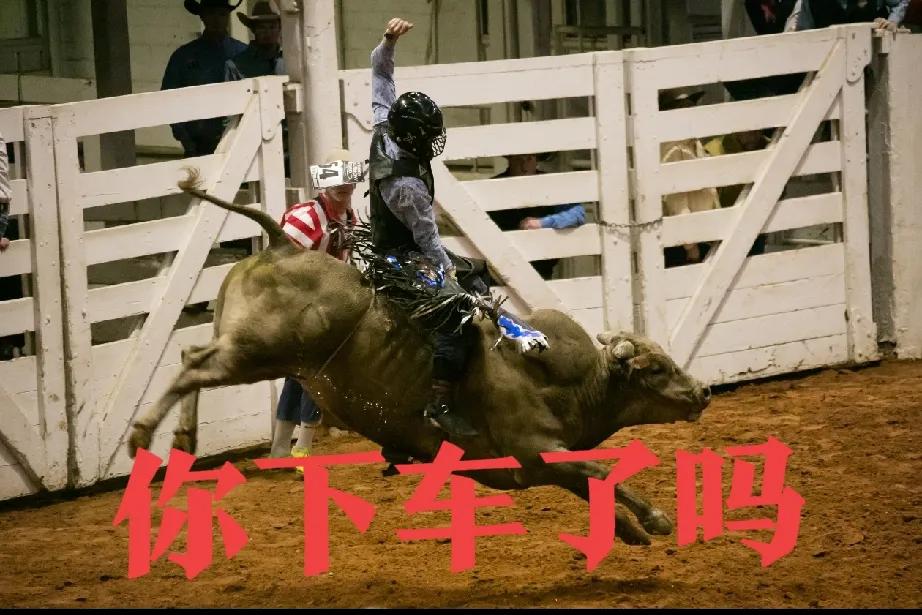 收割散户的任务已经完毕！
1、筹码都交出来没有？优质的筹码都进了主力的口袋，这回