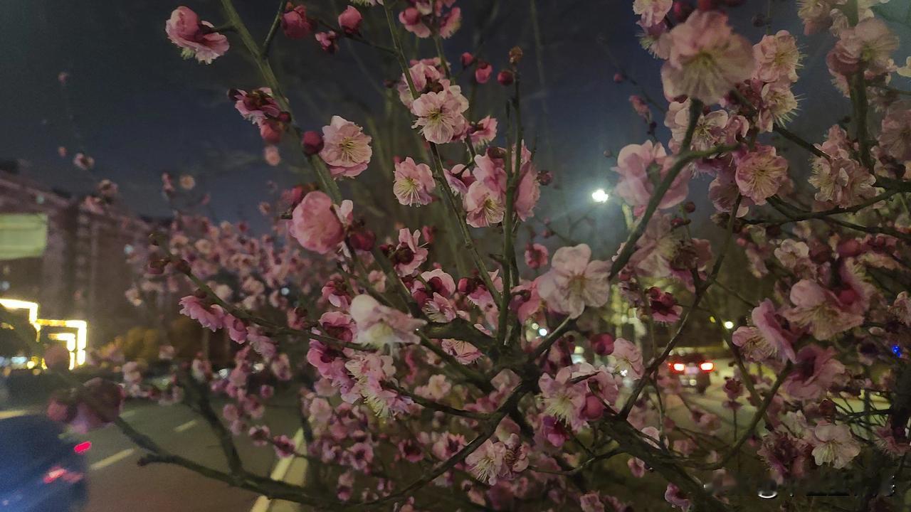 问下医生：
是不是吃多了干燥的食物，体质容易干？
是不是多吃了湿润的食物，体质容