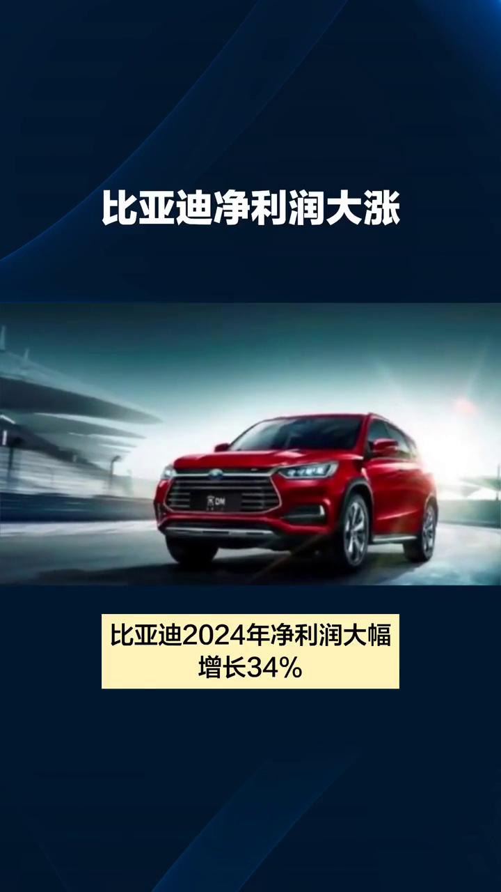 比亚迪净利润大涨，2025年2月比亚迪销量达31.82万辆，同比增长161.4%