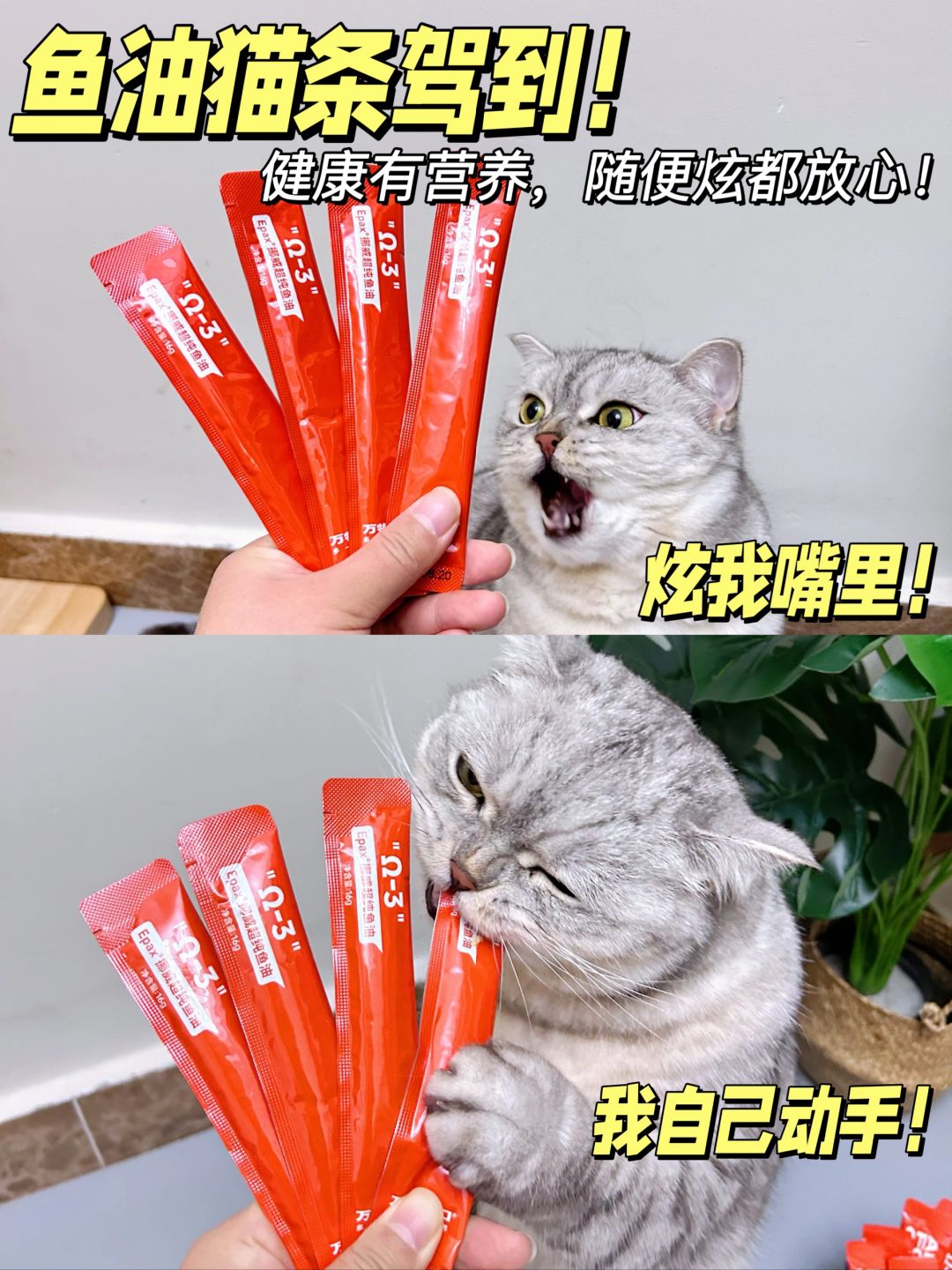 猫条不是无用零食！它也能多一口营养！