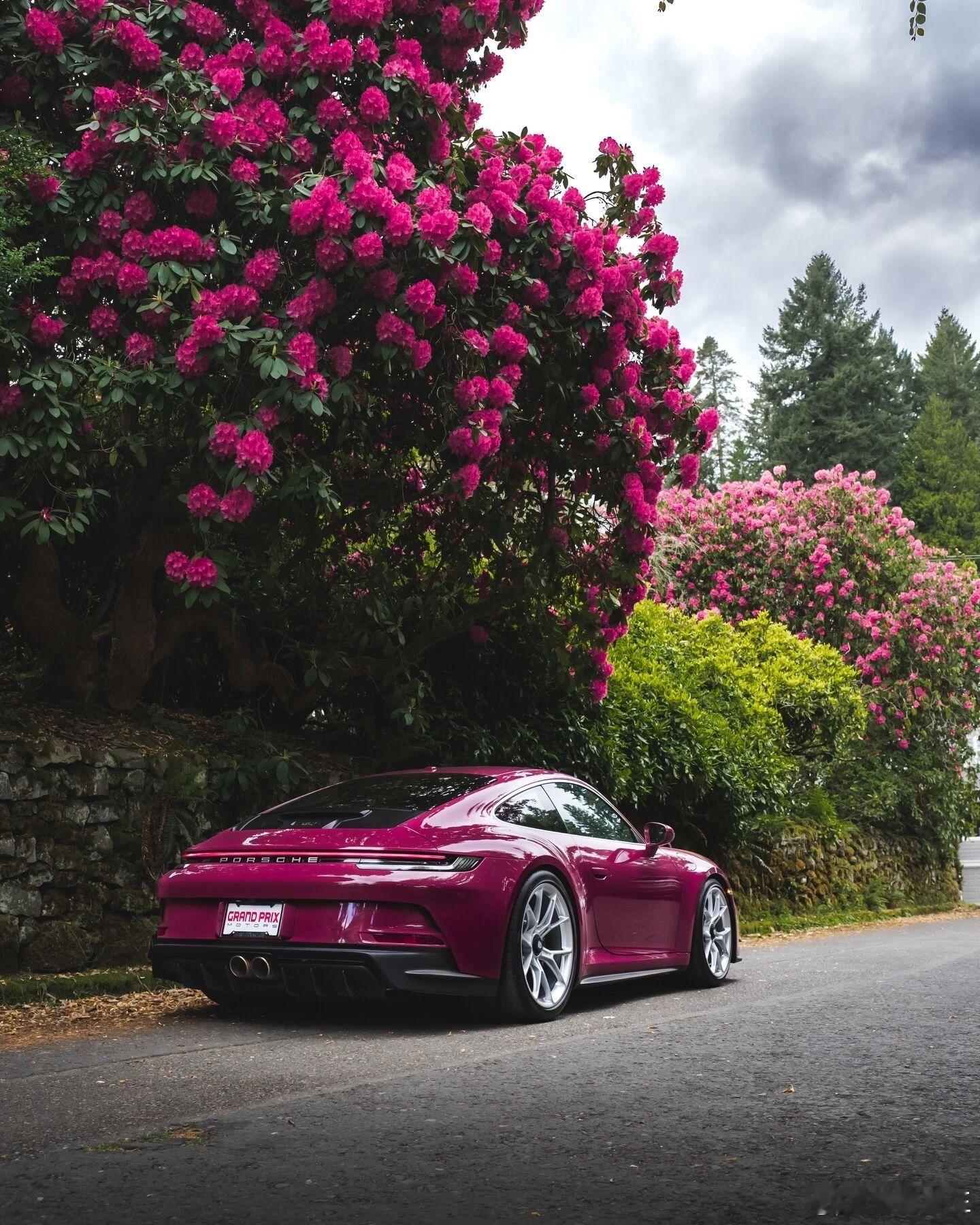 赴一场樱花与汽车的约。粉白花瓣雨里，轿车静静披一身春色，跑车倏然掠过，卷起缤纷雪