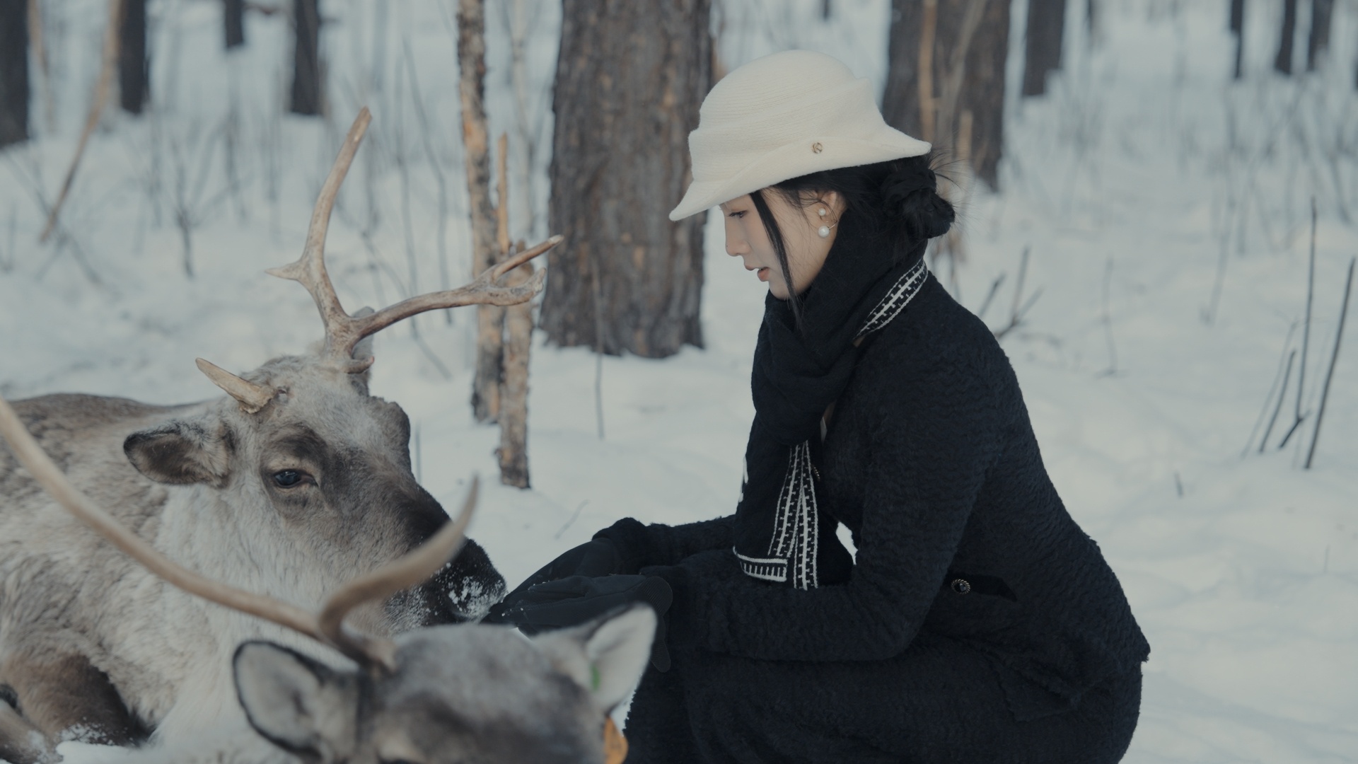 今日摄影：「在我国最北」雪上撒欢儿不得不说，本博的漂移，有点技术功底在的 漠河·