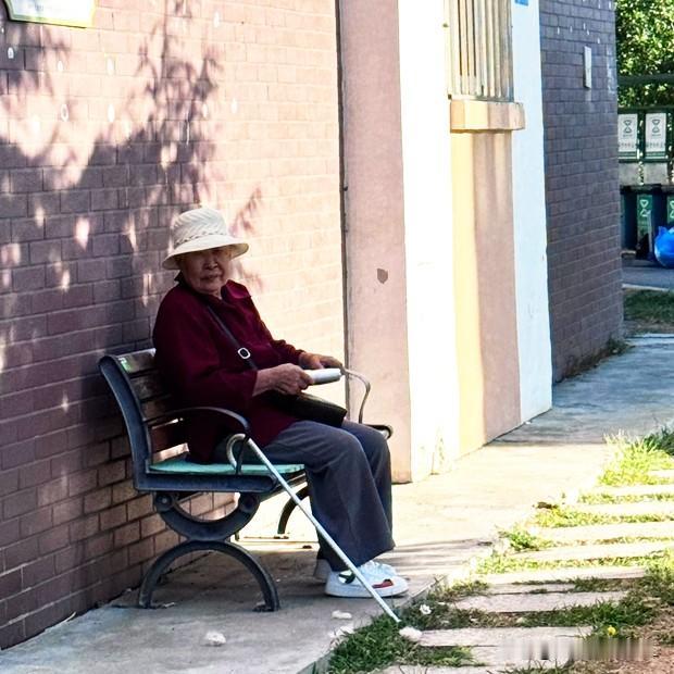 我妈这个老太太，又在我这儿待不住了。

老母亲今年86岁，居住在辽宁抚顺市，前些