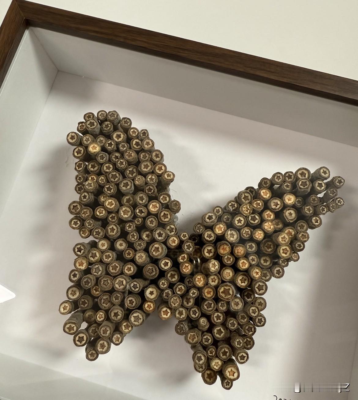 大家知道这是什么树枝吗？
大自然真的太神奇了，这个树枝里藏着星星，好好看！！