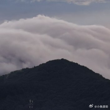 关于嫉妒你以为嫉妒是因为心胸狭窄，于是拼命压制它，假装自己不在乎。可它不是。它是