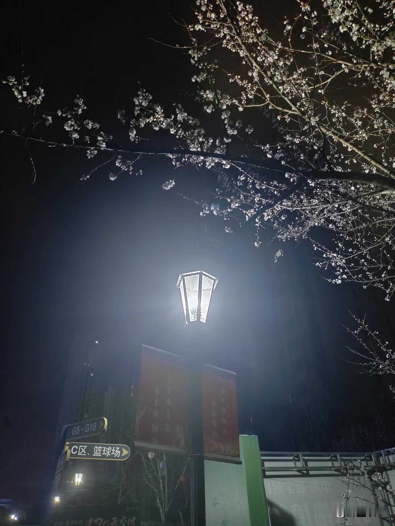 真的，过来人的话，没摔过跟头的人，半句话都听不进去。
 
你苦口婆心劝他别踩坑，